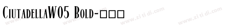 CiutadellaW05 Bold字体转换
